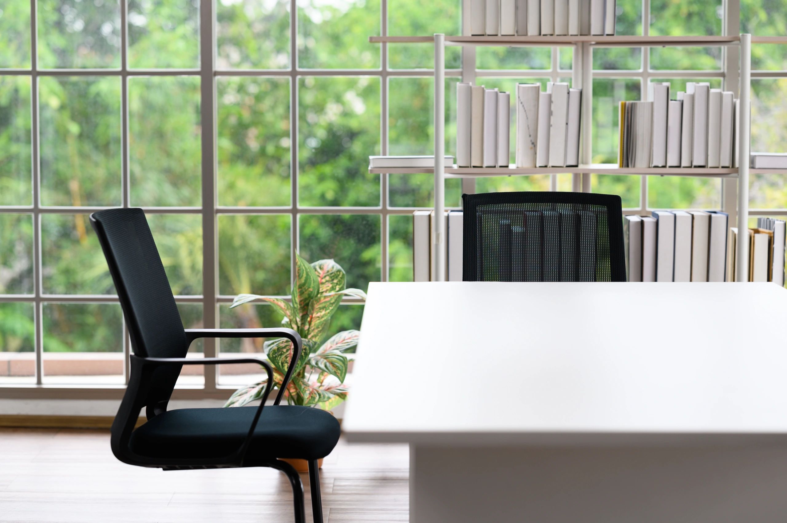 Quiet editorial workspace with desk and bookshelf
